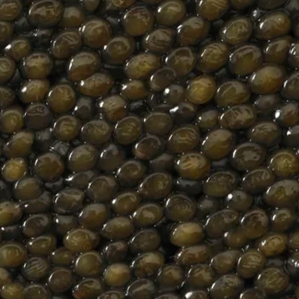 Kaluga Caviar close-up