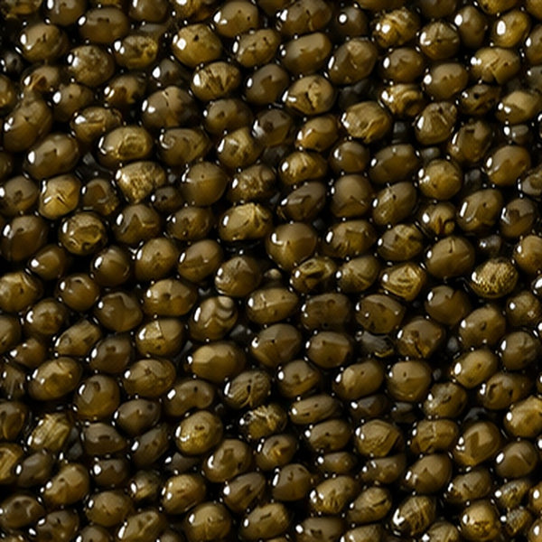 Osetra Caviar close-up